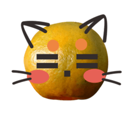 Orange Orange cat Of your oranges sticker #14020960