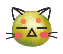 Orange Orange cat Of your oranges sticker #14020962