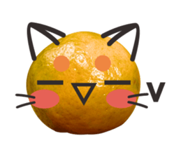 Orange Orange cat Of your oranges sticker #14020963