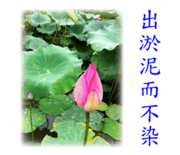 Say hello with the photo sticker #14021528