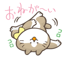 Hoyohoyo cat2 sticker #14022291