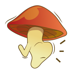 the little mushroom 555
