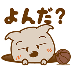 Basketball in the Young Cup!