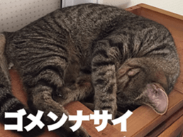 cat called SADAHARU 2 sticker #14027346