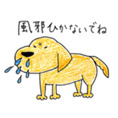 Labrador Retriever Momo's life sticker #14027731