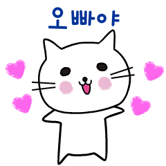 Cute Korean Cat