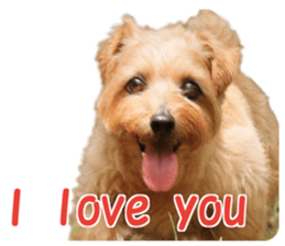 Cheerful Rara sticker #14028398