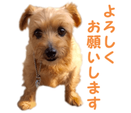 Cheerful Rara sticker #14028404