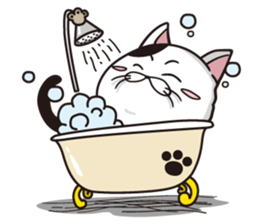 Funny cute hilarious cat sticker #14028592