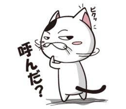 Funny cute hilarious cat sticker #14028597