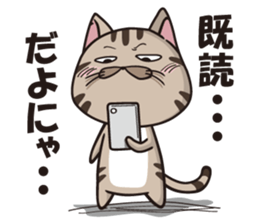 Funny cute hilarious cat sticker #14028598