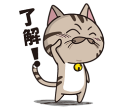 Funny cute hilarious cat sticker #14028603