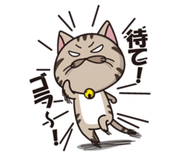 Funny cute hilarious cat sticker #14028605