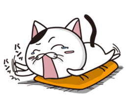 Funny cute hilarious cat sticker #14028606