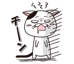 Funny cute hilarious cat sticker #14028610