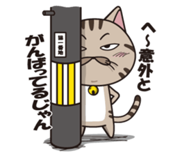 Funny cute hilarious cat sticker #14028611