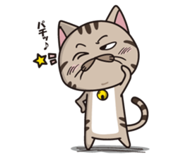 Funny cute hilarious cat sticker #14028620