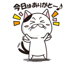 Funny cute hilarious cat sticker #14028622