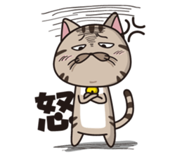 Funny cute hilarious cat sticker #14028627