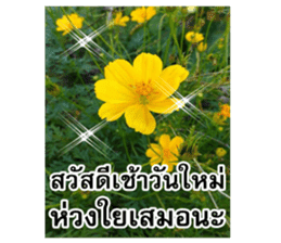 Happy flower garden sticker #14028630
