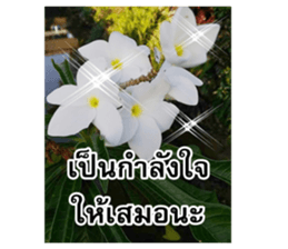Happy flower garden sticker #14028631