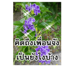 Happy flower garden sticker #14028632