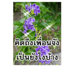 Happy flower garden sticker #14028632