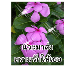 Happy flower garden sticker #14028633