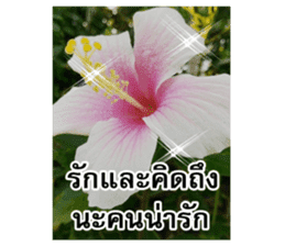 Happy flower garden sticker #14028634