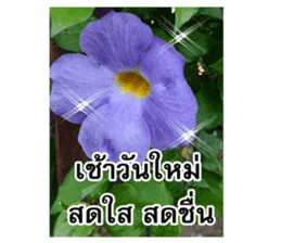 Happy flower garden sticker #14028635