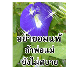 Happy flower garden sticker #14028637