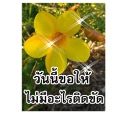 Happy flower garden sticker #14028638