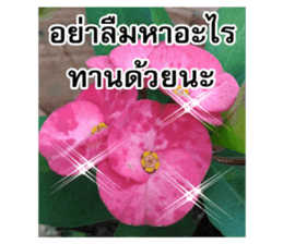 Happy flower garden sticker #14028639