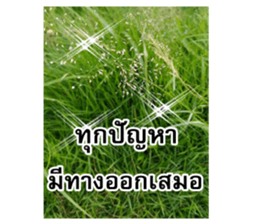 Happy flower garden sticker #14028640