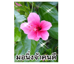 Happy flower garden sticker #14028641