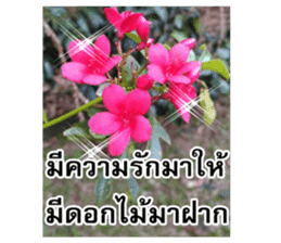 Happy flower garden sticker #14028643