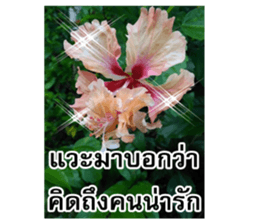 Happy flower garden sticker #14028644