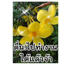 Happy flower garden sticker #14028645