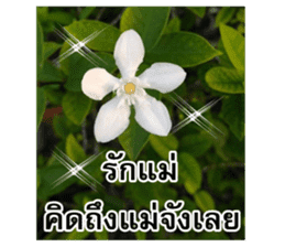 Happy flower garden sticker #14028646