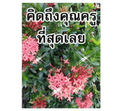 Happy flower garden sticker #14028648