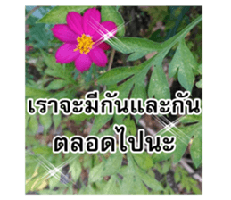 Happy flower garden sticker #14028650