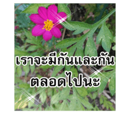 Happy flower garden sticker #14028650