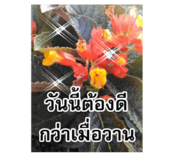 Happy flower garden sticker #14028651