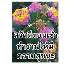 Happy flower garden sticker #14028652
