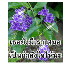 Happy flower garden sticker #14028653