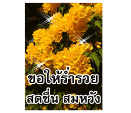 Happy flower garden sticker #14028654
