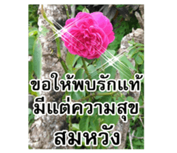 Happy flower garden sticker #14028655