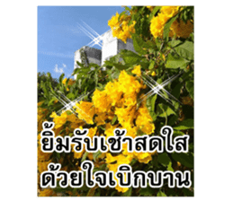 Happy flower garden sticker #14028656
