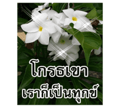 Happy flower garden sticker #14028657