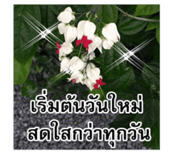 Happy flower garden sticker #14028658